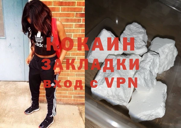 крисы Абаза