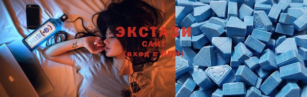 крисы Абаза